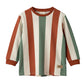 Kids Tees  – Multi Color Stripe